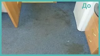 Химчистка ковролина
