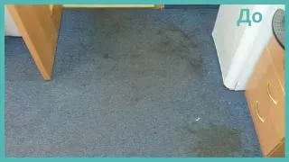 Химчистка ковролина